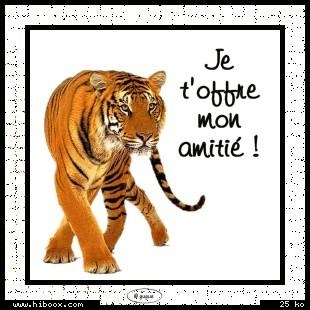 je t'offre toute mon amitié